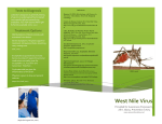 Description of West Nile Virus