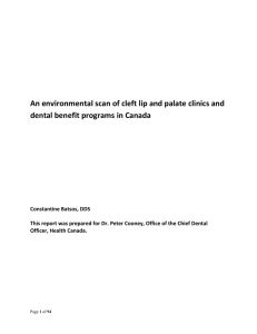An environmental scan of cleft lip and palate clinics and