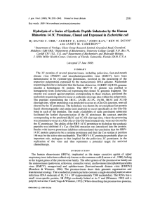 Hydrolysis of a Series of Synthetic Peptide Substrates by the Human