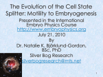 Bjoerklund-Gordon201.. - Embryogenesis Explained