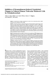 Inhibition of dexamethasone-induced cytoskeletal changes in