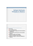 Intelligent Multimedia Databases for Medicine