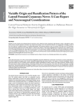 Variable Origin and Ramification Pattern of the lateral Femoral