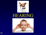 Module 20: Hearing