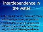 Ecology Interdependence in the Water