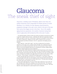 Glaucoma - Bascom Palmer Eye Institute