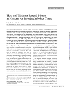 Ticks and Tickborne Bacterial Diseases in Humans: An Emerging