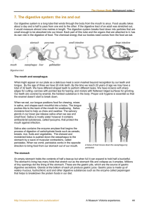 The Human Body - Background Notes 7-9