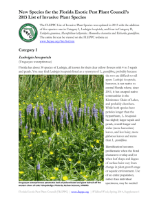 New Species for the Florida Exotic Pest Plant Council`s 2013 List of