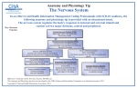 The Nervous System - California Health Information Association