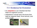 11.1 Evidence for Evolution
