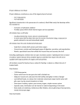 Phylum Mollusca Fact Sheet