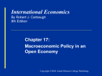Carbaugh Intl Econ 8e Chapter 17