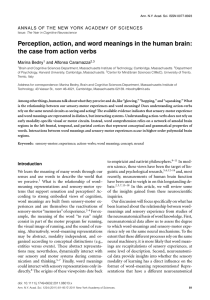 Perception, action, and word meanings in the human brain