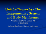 Unit 4 (Chapter 5) - The Integumentary System and Body Membranes