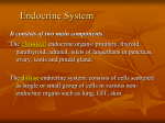 Endocrine Pathology