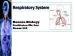 Respiratory System Honors Biology Mr. Lee Room 320