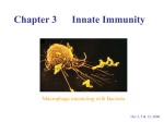 Chapter 3 Innate Immunity
