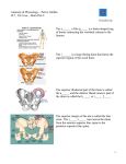 Ilium Part 2 The s______ of the p_____ is a basin