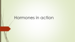Hormones in action