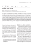 Complete Pattern of Ocular Dominance Columns in Human Primary