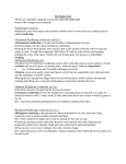 The_Rock_Cyclean_Weathering_notes
