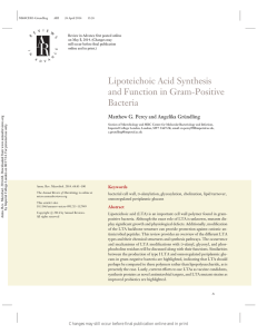 Lipoteichoic Acid Synthesis and Function in Gram