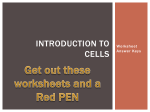 Introduction to Cells