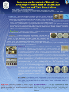 Actinomycetes are fungus-like Gram-positive bacteria having high