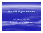Shoulder Region and Back
