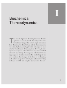 Biochemical Thermodynamics