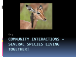 Community Interactions – several species living together!