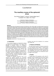 The maxillary recess of the sphenoid sinus