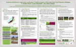 Powerpoint template for scientific posters