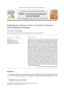 Radiological evaluation of the evisceration tradition in ancient