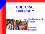 cultural diversity pp