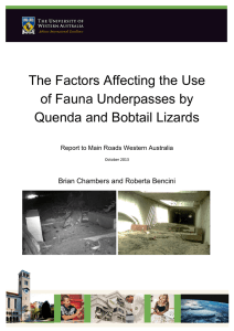 The Factors Affecting the Use of Fauna
