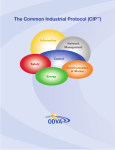 The Common Industrial Protocol (CIP™)
