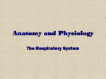 PDF respiratory - Manatee School for the Arts