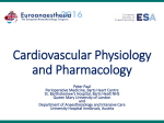 Cardiovascular Physiology and Pharmacology