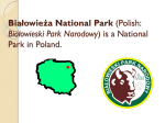 is a National Park in poland. - YPEF Young People in European