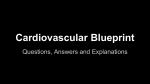Cardiovascular Blueprint