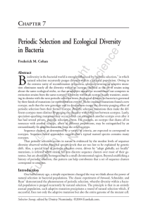 Periodic Selection and Ecological Diversity in Bacteria