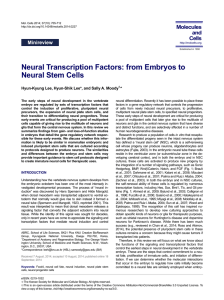 Neural Transcription Factors: from Embryos to Neural Stem Cells