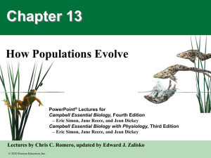 Chapter 13 PowerPoint File