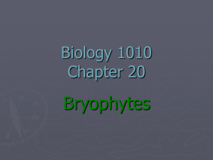 Biology 1010 Chapter 20