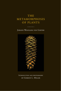 goethe | metamorphosis of plants