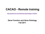 CACAO_remote_training_UW_Parkside
