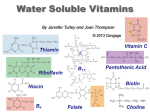 Vitamin and Mineral Deficiencies and Toxicities