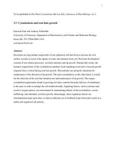 Cytoskeleton and Root Hair Growth